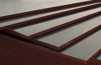 Tìm Mua Ở Đâu Ván Ép Coffa Phủ Phim Giá Rẻ Chất Lượng