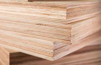 Ván Ép Coppha Chịu Nước Và 4 Ứng Dụng Tuyệt Vời Cho Nội Thất