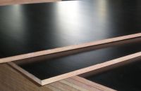 Tiêu chí lựa chọn ván ép phủ phim cho công trình xây dựng