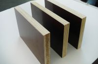 Các loại bề mặt thông dụng của ván ép coppha trong công nghiệp