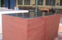 Thế nào là một ván ép coppha hoàn chỉnh