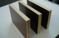 Tính năng và công dụng ván cốp pha phủ phim, ván phủ phim