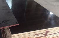 Quá trình sản xuất ván ép coppha phủ phim