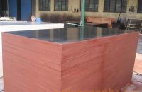 Một số điều ít ai biết đến từ ván ép coppha